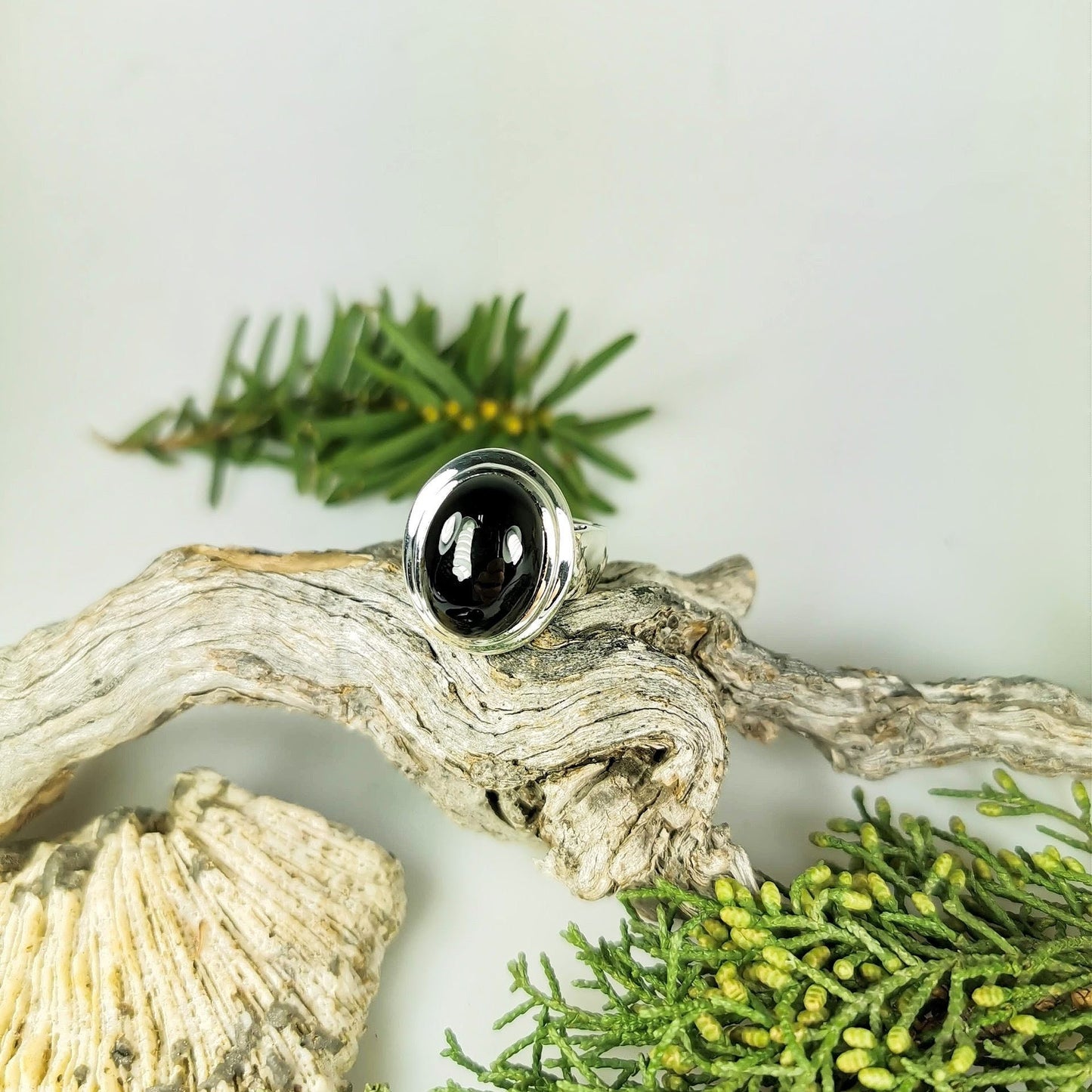 Silberring mit Onyx